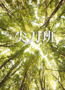 521av网站